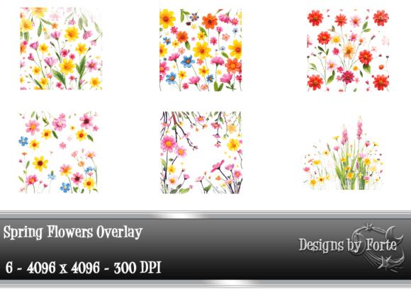 Download 6 Vibrant Spring Floral Overlays - Floral overlay Collection