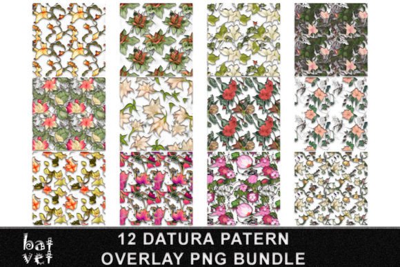 Download Floral Overlay Bundle | Floral Pattern - Floral overlay Collection